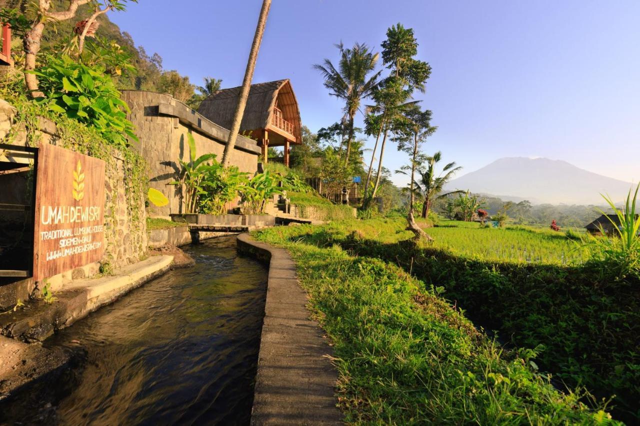 Romantic Barn With Mt. Agung Views Sidemen  Exteriér fotografie