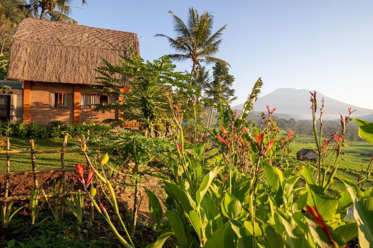 Romantic Barn With Mt. Agung Views Sidemen  Exteriér fotografie