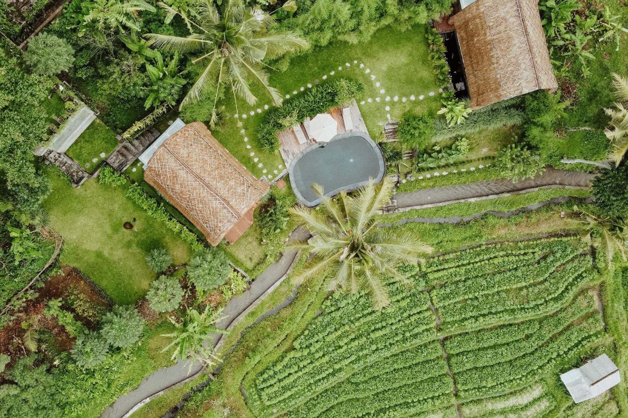 Romantic Barn With Mt. Agung Views Sidemen  Exteriér fotografie